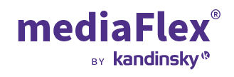 MediaFlex by Kandinsky